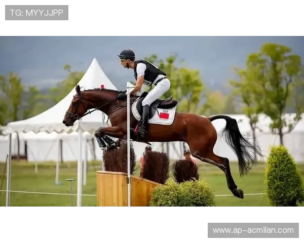 世界马术锦标赛中国选手夺得佳绩，进入前十，马术全国锦标赛